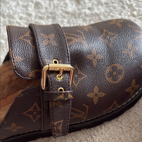 Louis Vuitton Brown Monogram Fur Clogs - Picture 6 of 6